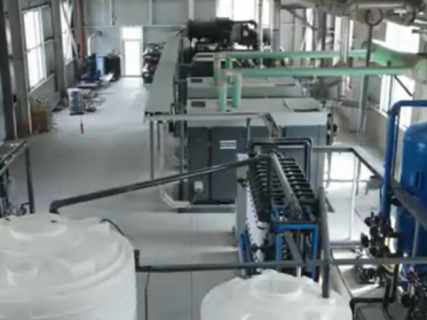 视频展示